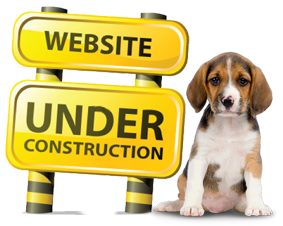 website-under-construction-dog-1